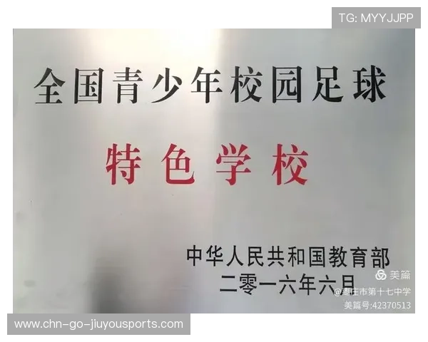 篮球比赛在中国城市应急响应系统中的协同机制，篮球应急方案