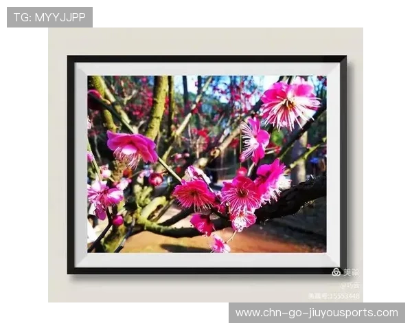 未来无限可能：逆转带来希望！，未来无限可能的美文