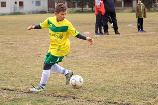 九游娱乐官网 (jiuyou)-中超冠军梦碎后，蓉城要在亚洲赛场重塑信心，中甲成都蓉城今天比赛结果